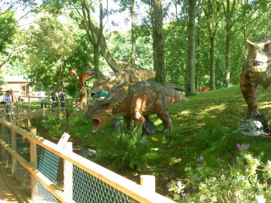 Tamba Park
