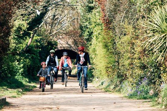 Jersey Bike Hire