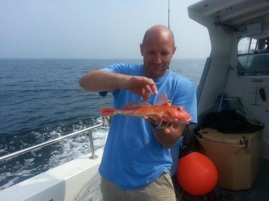 Tarka Sea Trips