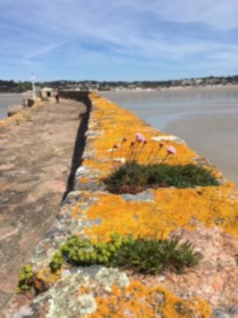 Saint Aubin's Fort